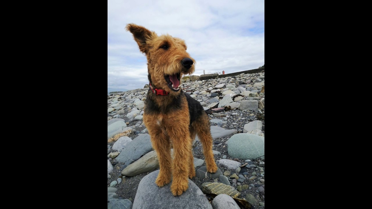 Our New Calendar!! (All ready for 2020...)