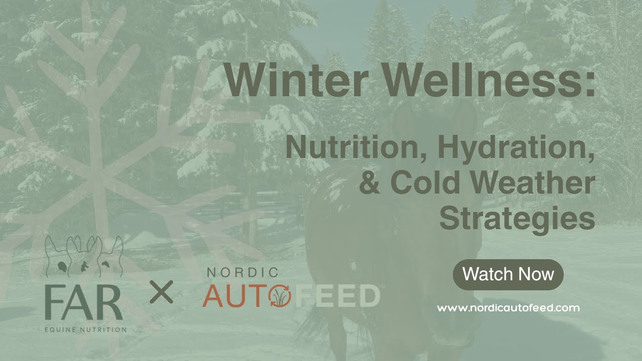 Winter Wellness: Nutrition, Hydration, & Cold Weather Strategies