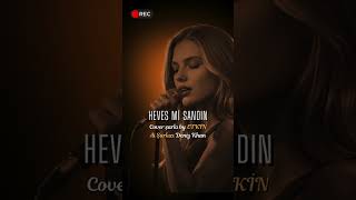 Heves Mi̇ Sandin