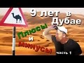 ПЛЮСЫ И МИНУСЫ В ДУБАЕ