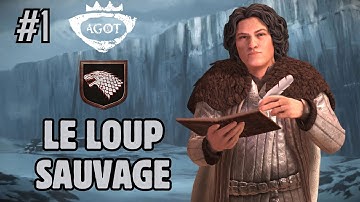 AGOT : Crusader King 3 : #1 : Famille Stark : Au-delà du mur !!!