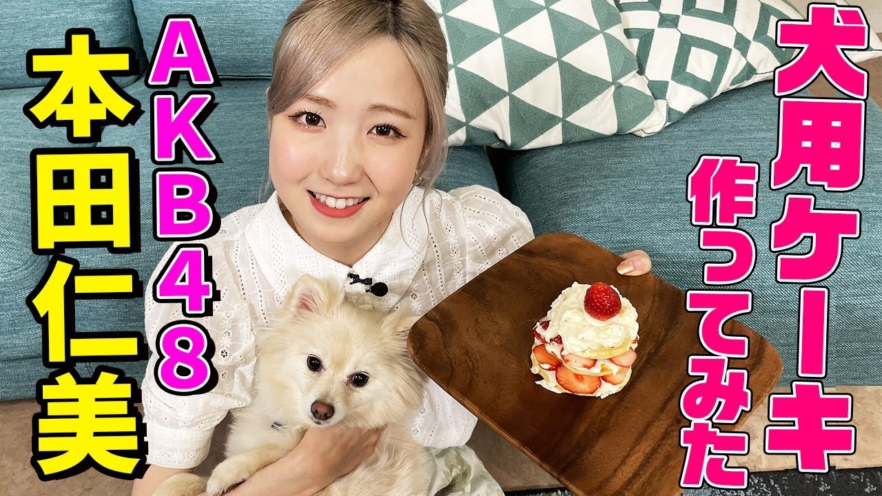 【犬用ケーキ】AKB48・本田仁美が愛犬に手作りケーキを作ってみた！新曲「元カレです」での初センターや韓国での食生活についても語ります【料理動画】
