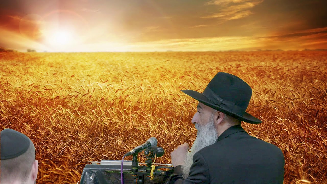 שיחתו של מו"ר ראש הישיבה הרב מאיר דוד שמואלי שליט"א בנושא : מתי יבוא משיח?