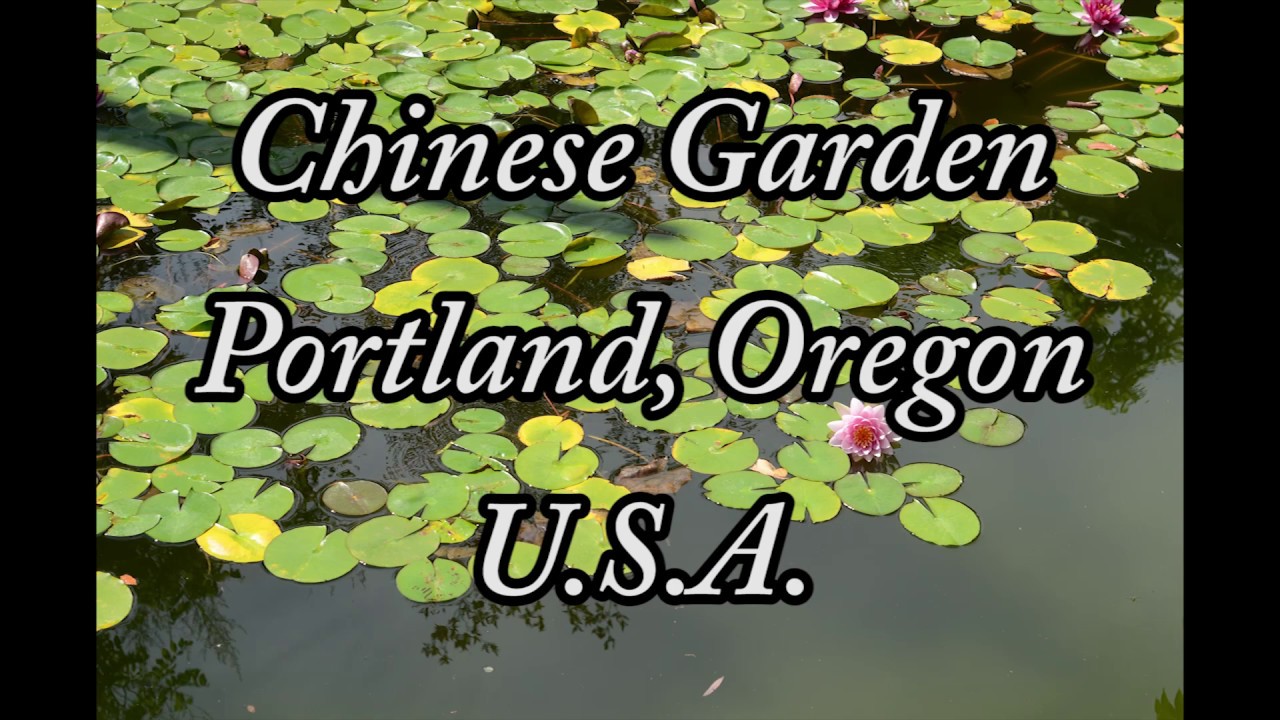 Lan Su Chinese Garden Portland, Oregon TRAVEL VIDEO!