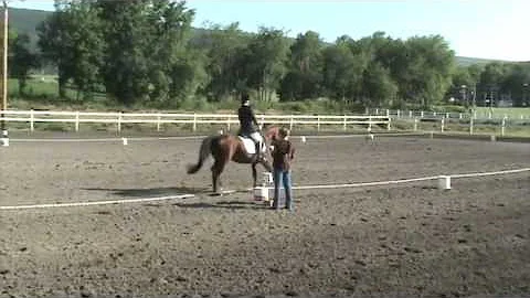 Horse Training Level 1 - Linnie Roeshot