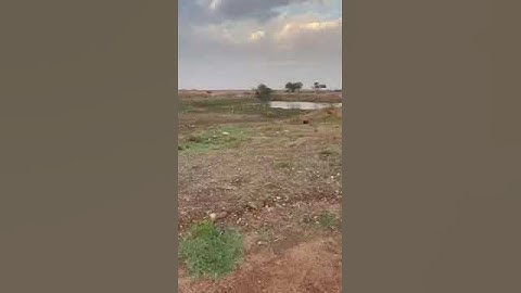 دحيم محمد ١٤٤٦هـ تلاوة من سورة نوح