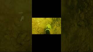 Оборванное грузило #shorts #подводныйпоиск #находка #поиск #дрон #рыбалка #gidrobot