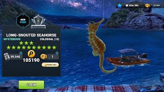 13 STAR NEW MYSTERIOUS FISH 🐠 ON FIRST TRY l SEAHORSE l FISHING CLASH GAMEPLAY  screenshot 3