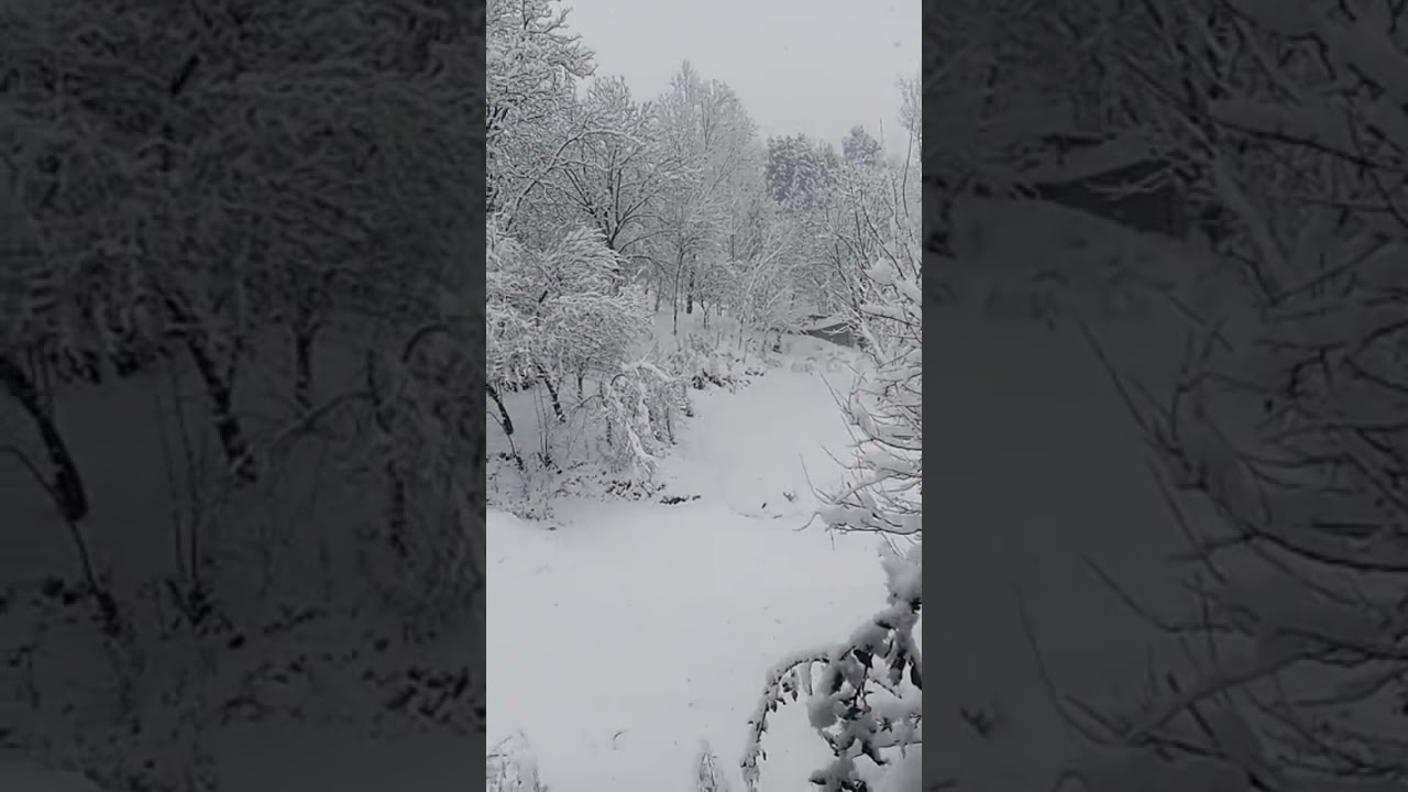 Snow fall in | chatar plan district | Mansehra