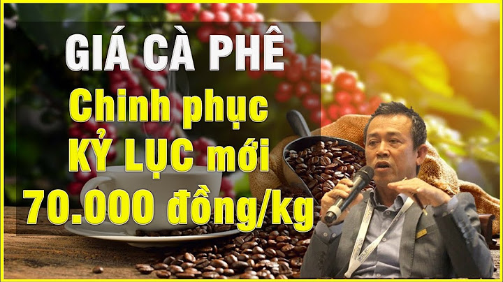 Cập Nhật Giá Cafe Tại Bảo Lộc | Cập Nhật Giá Cafe Mới Nhất Hôm Nay