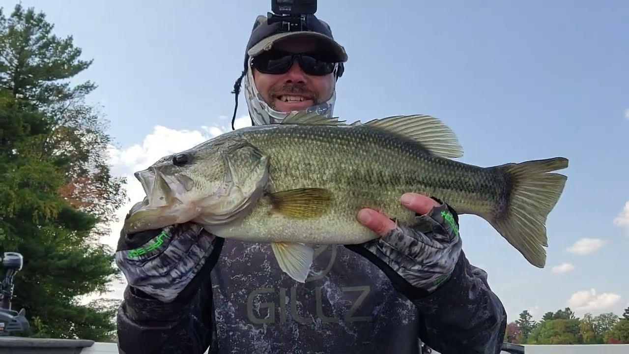 September Shady Bass