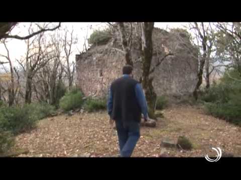 ქვევრისპირული / შროშა / 10 02 2015