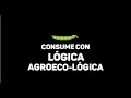 Consume con lgica agroecolgica  seae