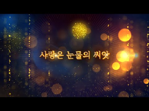 [가사영상] 나훈아 - 사랑은 눈물의 씨앗