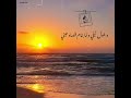 ومن تاني اكيد راجعين حالات واتس عمرو دياب