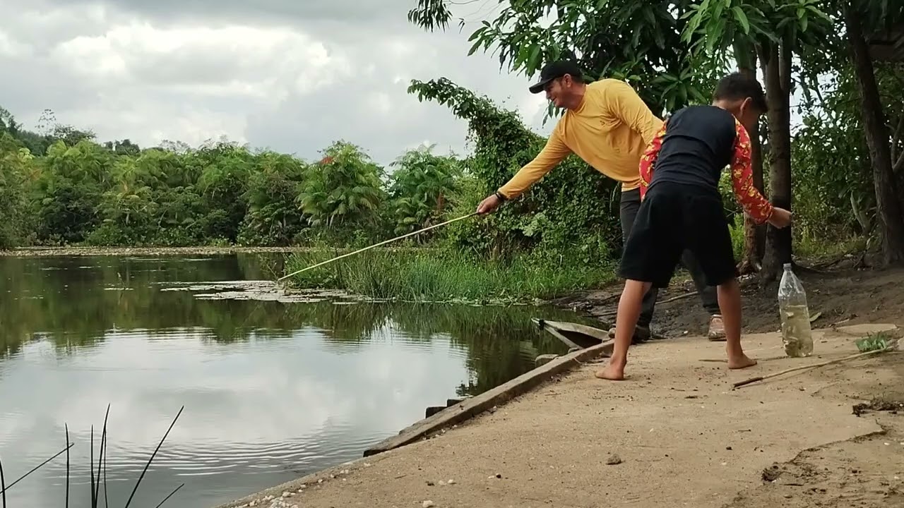 Começamos 2026 pescando Lambari.