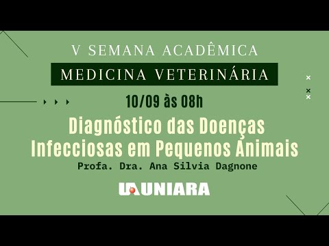 Vídeo: Pergunte ao veterinário: Quais são os sintomas da doença infecciosa em cães?