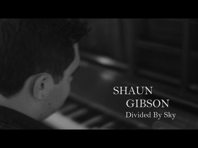 Shaun Gibson - Divided By Sky class=