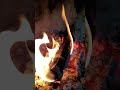 🔥 Cozy Fireplace with Burning Logs and Crackling Fire Sounds for Stress Relief