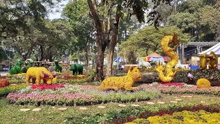 Spring Flower Festival 2020 in Ho Chi Minh City, Vietnam: Visitors will have a new feeling