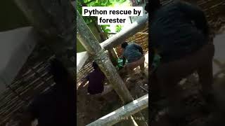 Celebrity Python rescue by forester | Unlock wings Profile