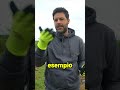 Perché evito il glifosate nel mio orto