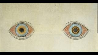 Is Consciousness a controlled hallucination?