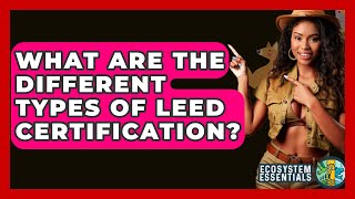 What Are The Different Types Of Leed Certification? - Ecosystem Essentials