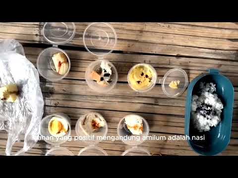 Tugas Teks Laporan Percobaan Amilum dan Lemak Kelas 9.1