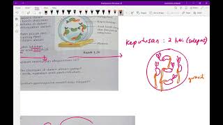 Eksperimen 1.1 Mengkaji Gerak Balas Tumbuhan terhadap graviti