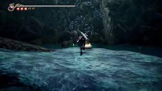 Ninja Gaiden. Two black.