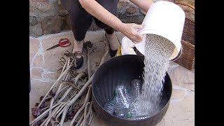 This simple idea makes pots easier to carry, cuts down on the amount
of soil needed, and is good for shallow-rooted plants like
succulents.learn what works a...