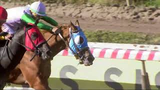 Vidéo de la course PMU PREMIO LOS TABACOS