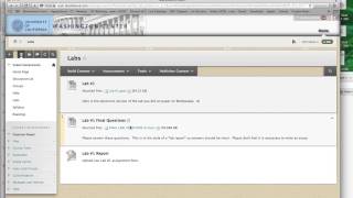 Blackboard How To   Broadband screenshot 4