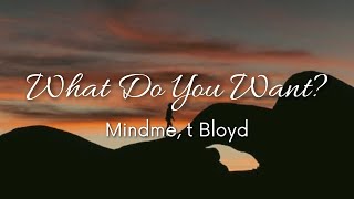 Mindme - What Do You Want? feat. Matt Bloyd (Lyrics)
