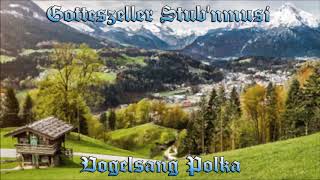 Gotteszeller Stubnmusi - Vogelsang Polka