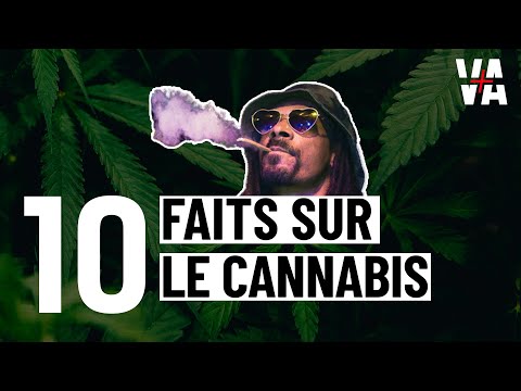 Les bienfaits du CANNABIS ?