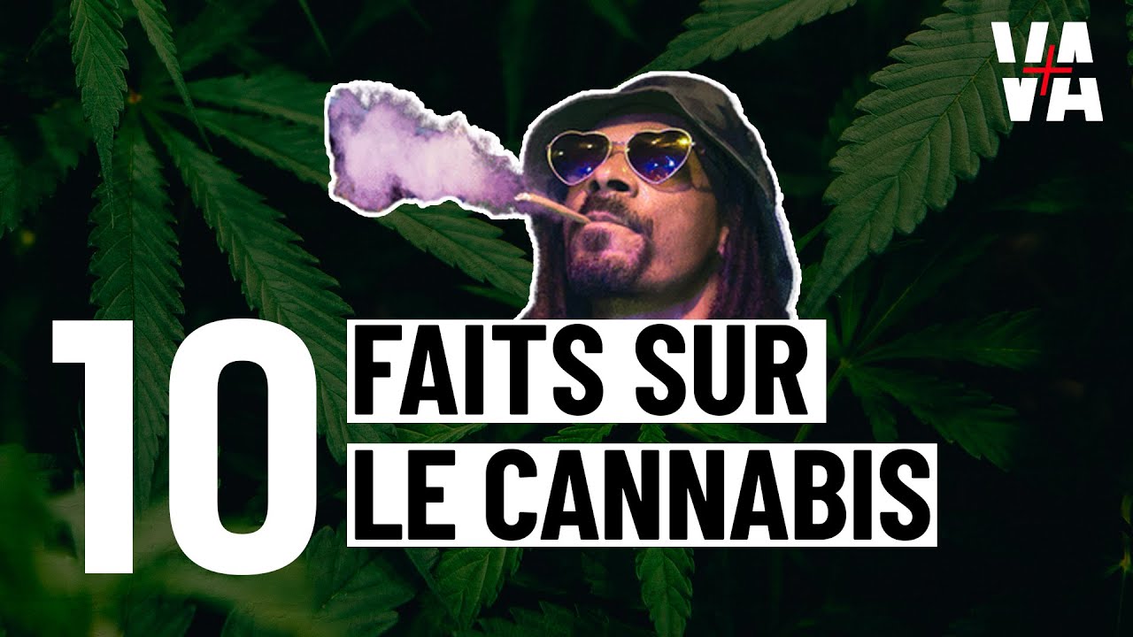 Les bienfaits du CANNABIS ?