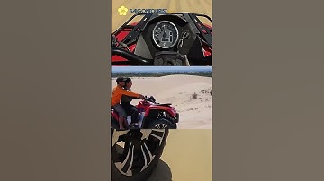 Đồi cát Bàu Trắng - mê mẩn vẻ đẹp từ cát