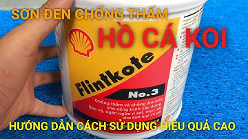 SƠN CHỐNG THẤM HỒ CÁ KOI | SƠN ĐEN CHO HỒ CÁ KOI | FLINTKOTE #sonhocakoi #sondenhokoi #flintkote