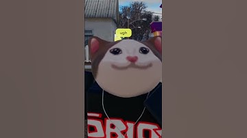 This Homeless Roblox Player HARASSED Me!?