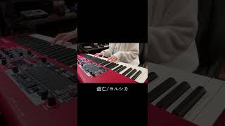 逃亡/ヨルシカ#ヨルシカ #yorushika #弾いてみた #cover #ピアノ #piano #shortvideo #邦ロック #盗作 #ヨルシカカバー よなでる