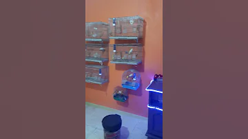 غرفة الإنتاج ماشاء الله 