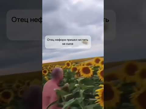 Подсолнух vs нефор часть 2 #memes #шутка #standup #юмор #смешно