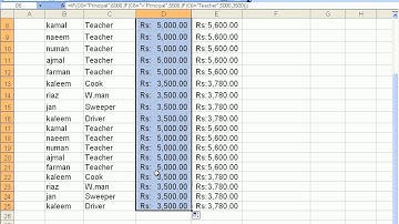 Ms Excel Learning course in Pashto 11
