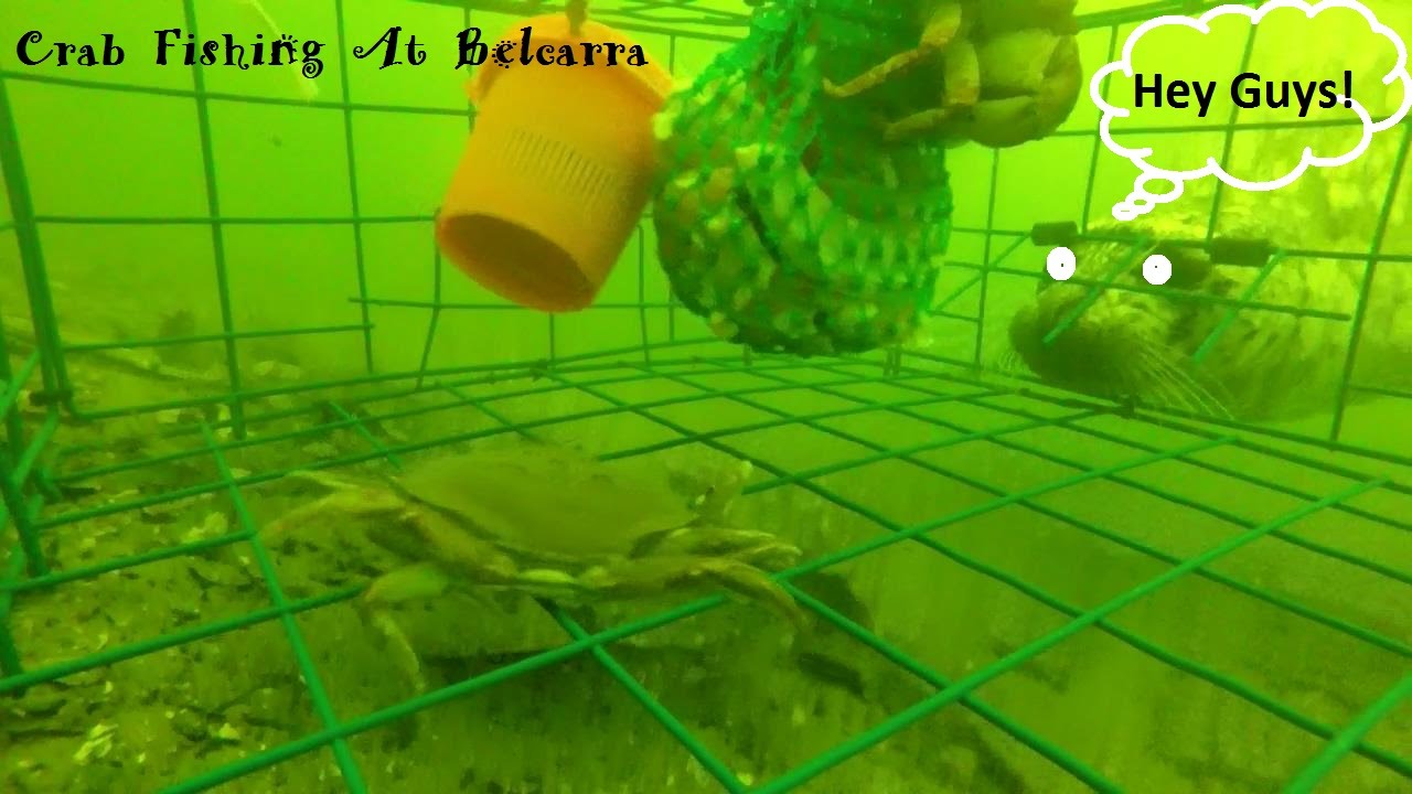 Crab Fishing Feb 12 2015 Part 2 - YouTube