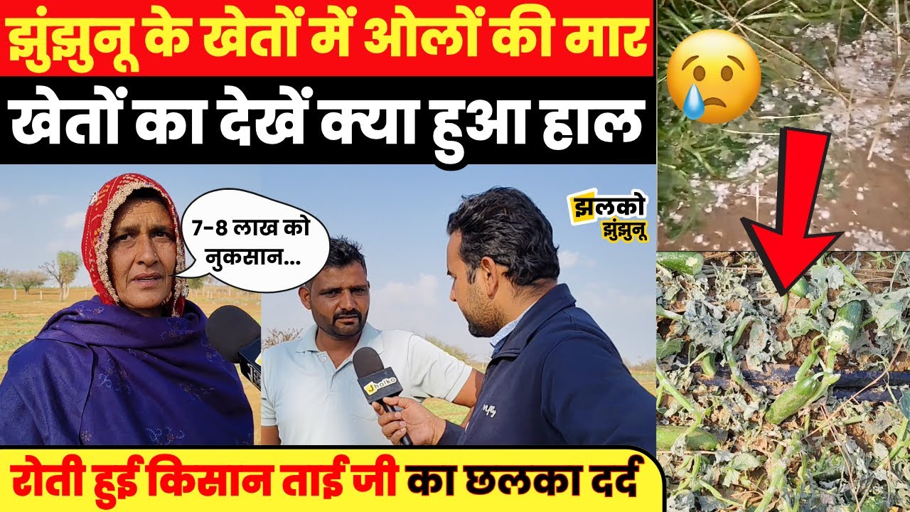 Jhunjhunu में हुई ओलावृष्टि ने की लाखों रूपये की फसलें बर्बाद ,महिला किसान के छलक पड़े आँसू,देखें