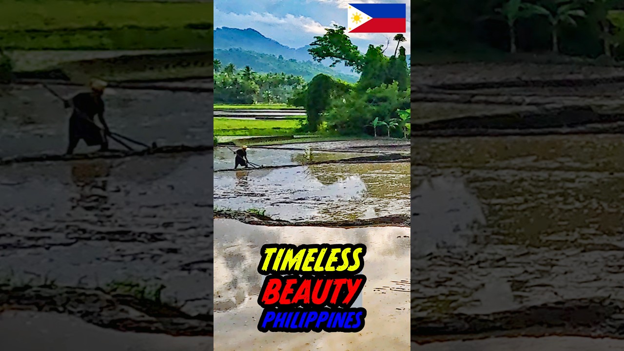 The Philippines: A Beauty Beyond Time 🌴✨🌇