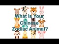 What Is My Chinese Zodiac Animal? Chinese New Year 2018