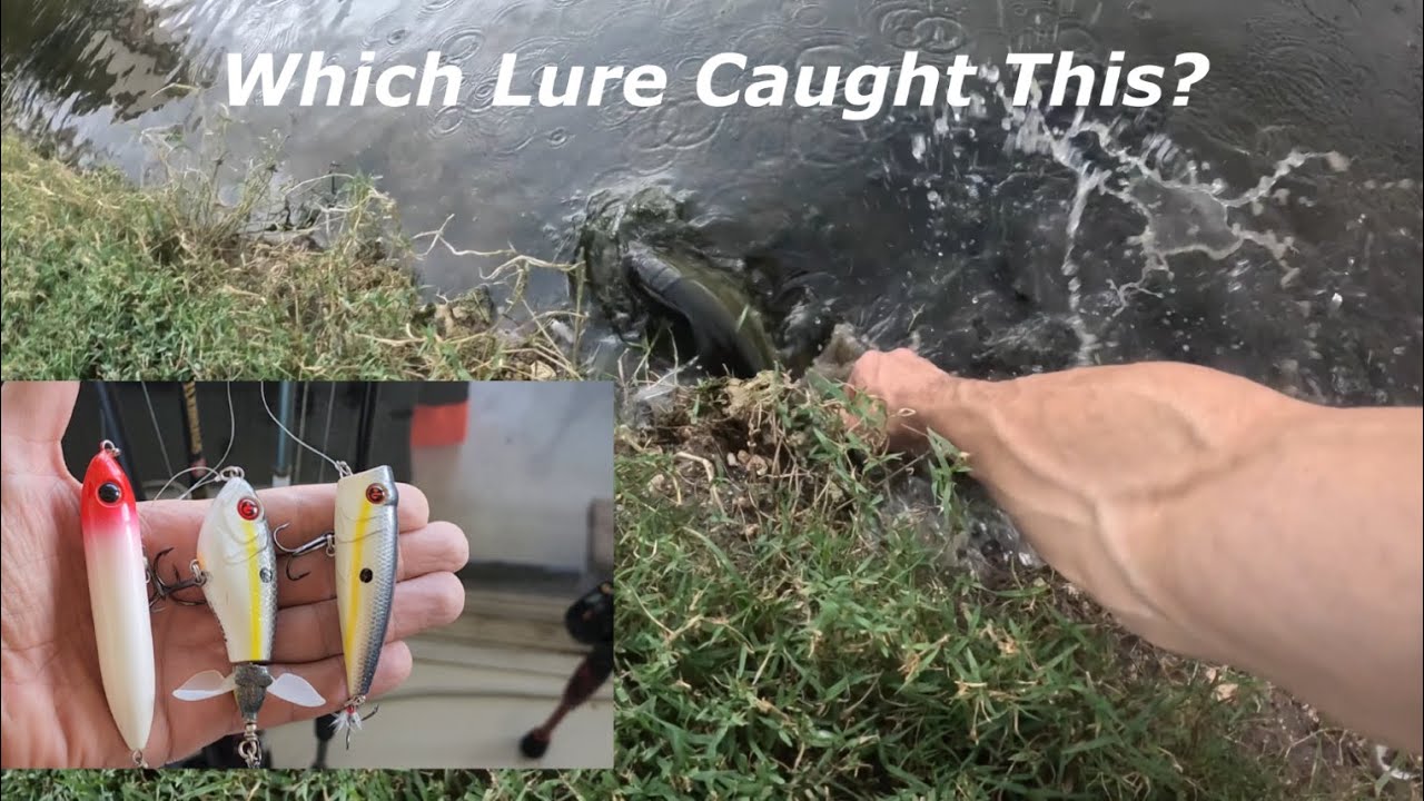 Topwater Bass Fishing Challenge: Whopper Plopper vs Spook vs Popper!
